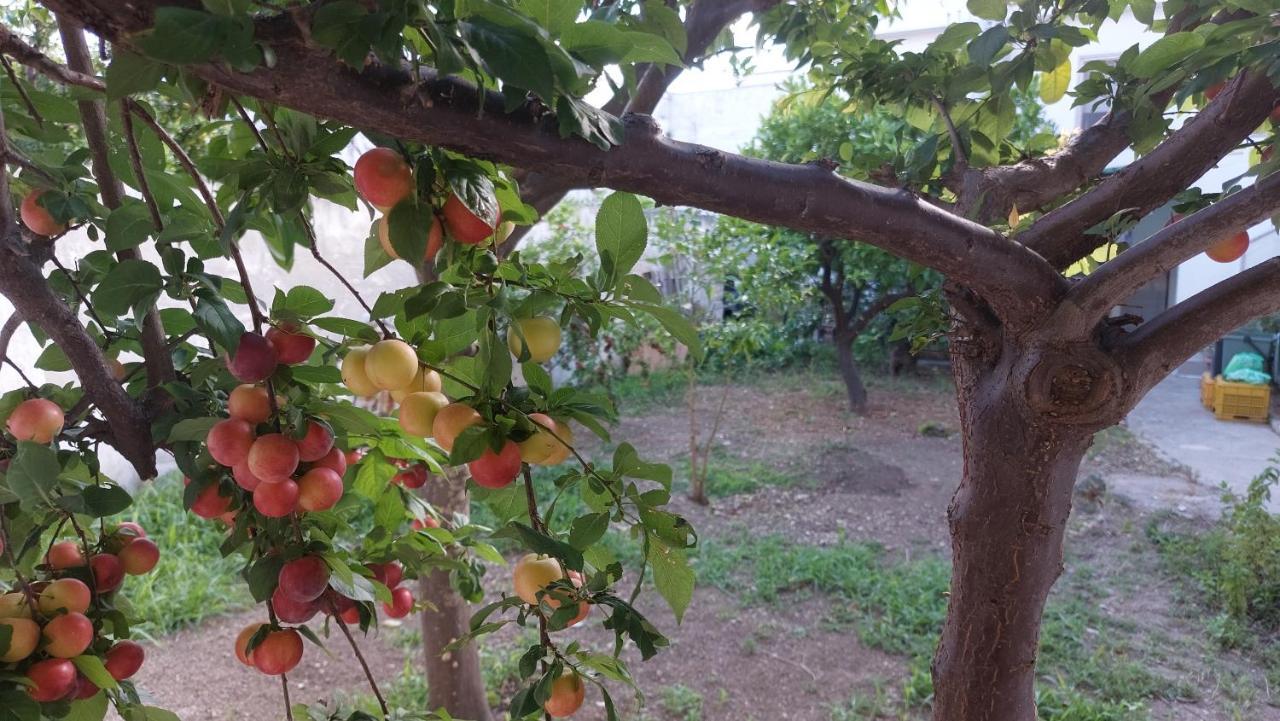 Jonia Appartamento Vacanze Vicino Al Mare Con Giardino Pulsano Zewnętrze zdjęcie