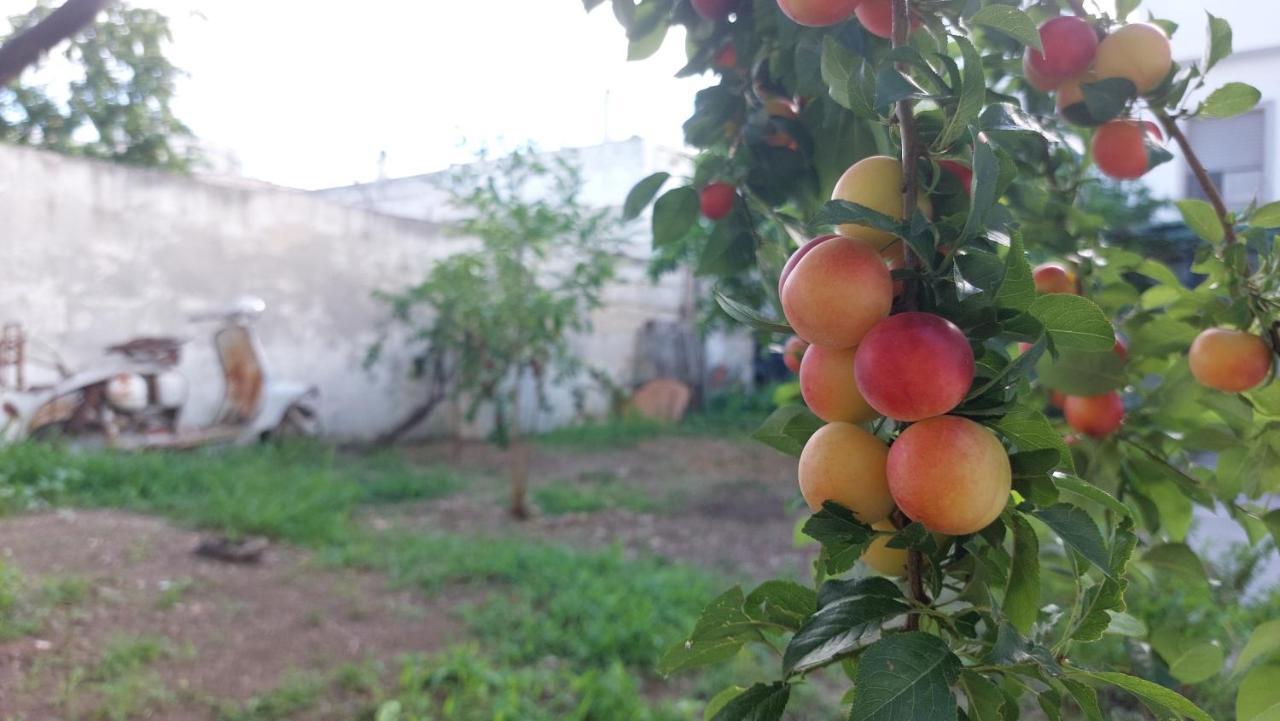 Jonia Appartamento Vacanze Vicino Al Mare Con Giardino Pulsano Zewnętrze zdjęcie